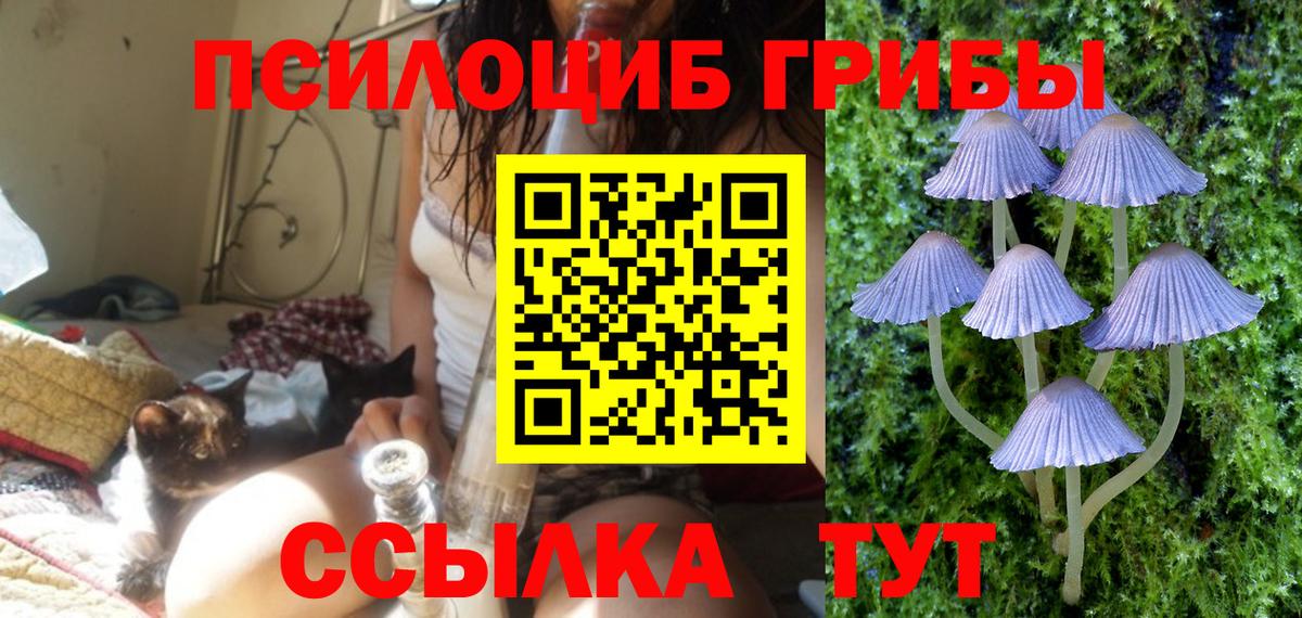 Ейск  Псилоцибиновые грибы GOLDEN TEACHER  Вход с VPN 